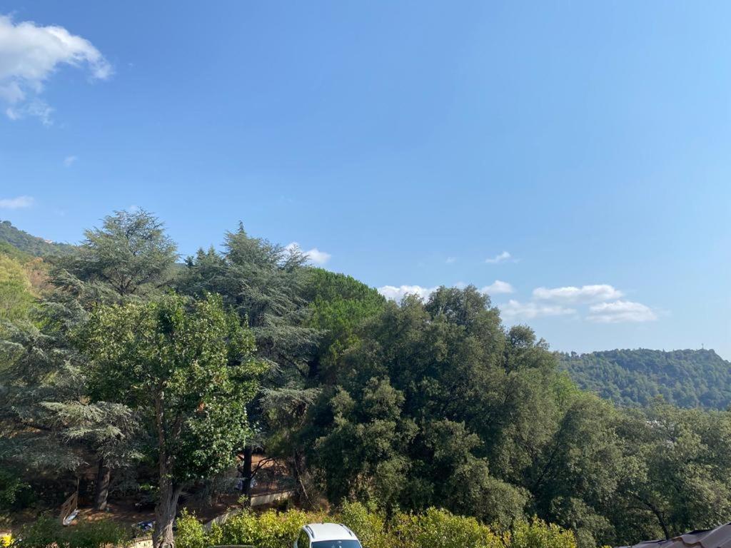 Aparthotel Domaine Des Anges Amélie-les-Bains-Palalda